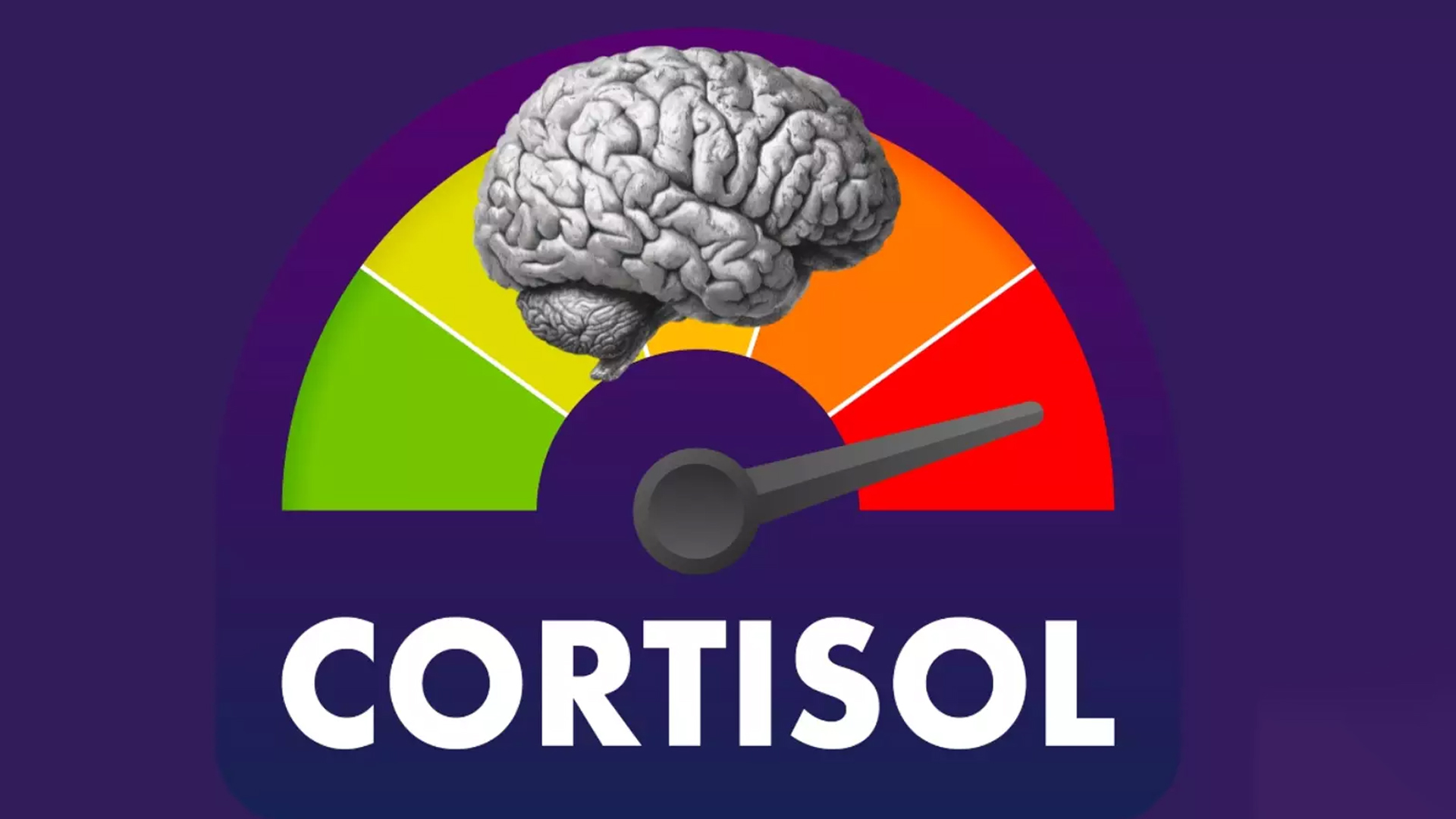 Cortisol alto: os sintomas que o estresse crônico deixa no corpo